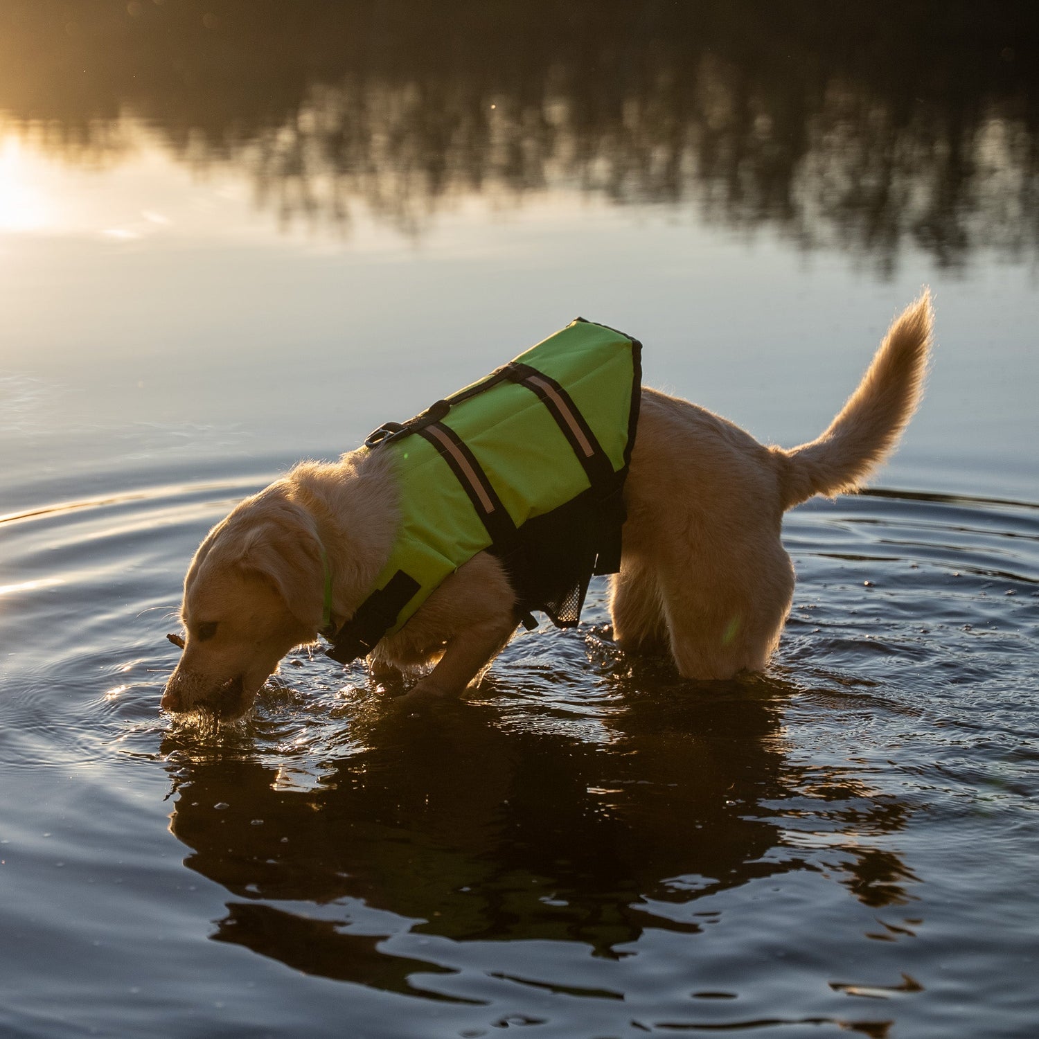 In und auf dem Wasser