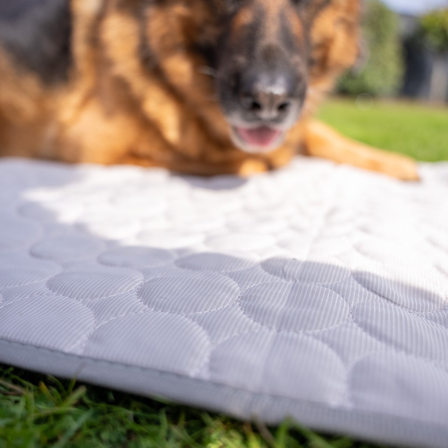 Cooling Mat - Hot Summer