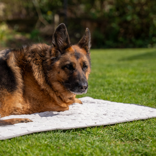 Cooling Mat - Hot Summer