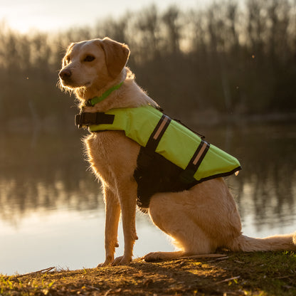 Weste - Sicherer Hafen