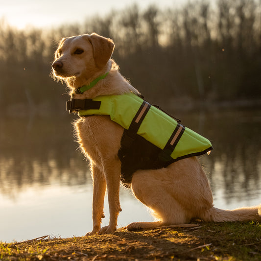 Weste - Sicherer Hafen