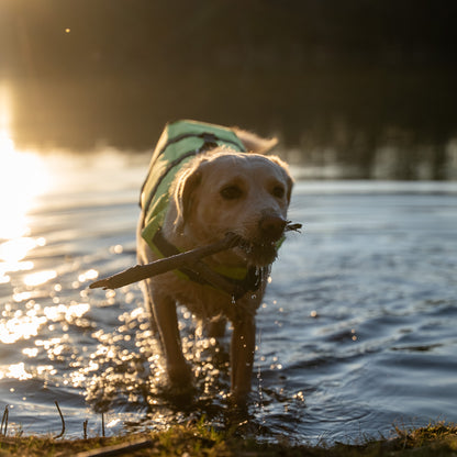 Weste - Sicherer Hafen