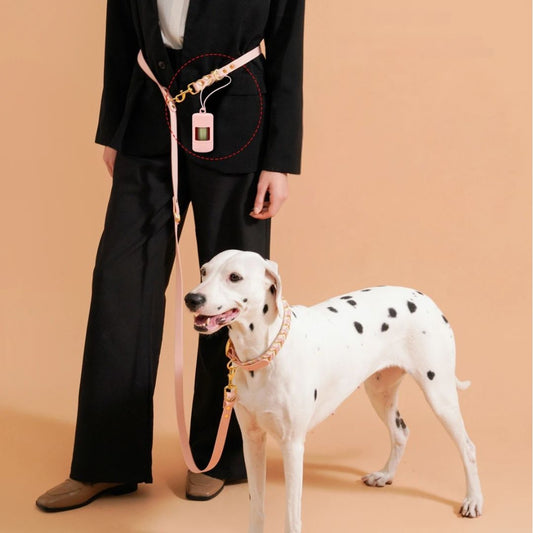 Handgefertigte Leine - Handsfree