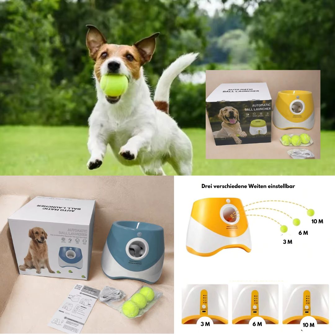 Ballwerfer - Flipper