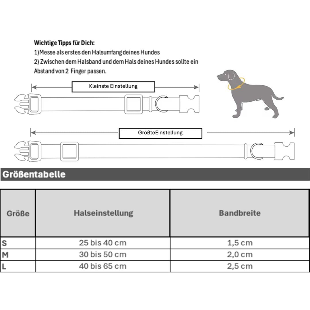 Wasserfestes Hundehalsband - Colorful