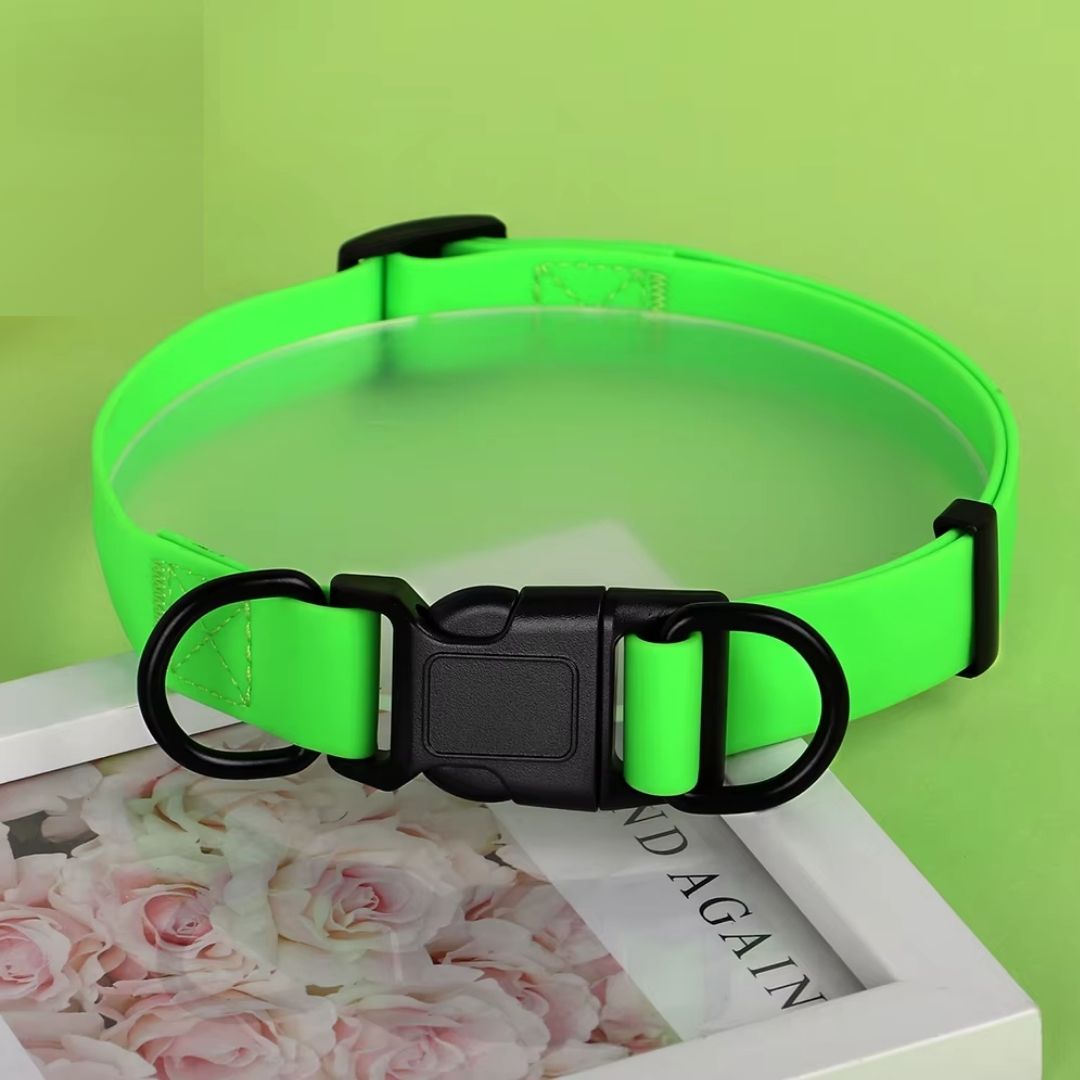 Wasserfestes Hundehalsband - Colorful