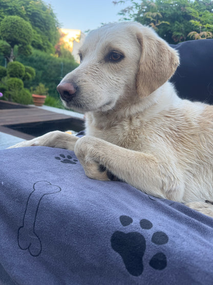 PawDry Pro Handtuch