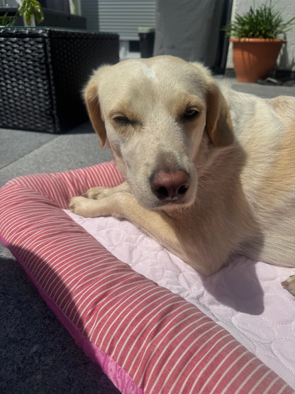 Cooling Bett - Summertime