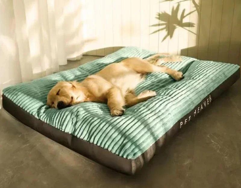 Snozzle Cordbett – Das gemütliche Cord-Hundebett für jede Größe