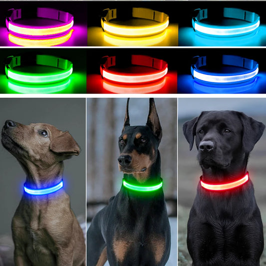 GlowGuard Collar– Das wiederaufladbare LED-Leuchti-Halsband für Hunde