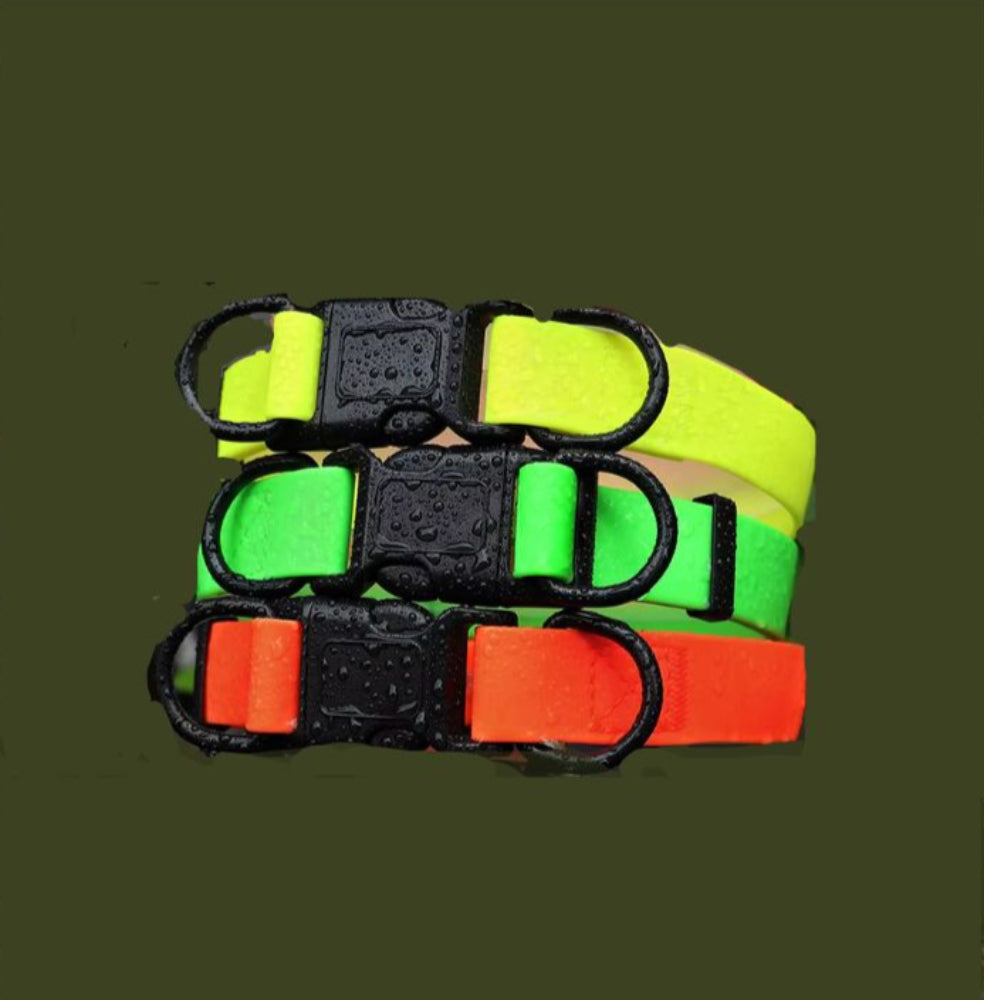 Wasserfestes Hundehalsband - Colorful